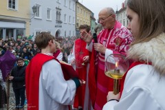 Palmweihe, Palmprozession-12 (Andere)