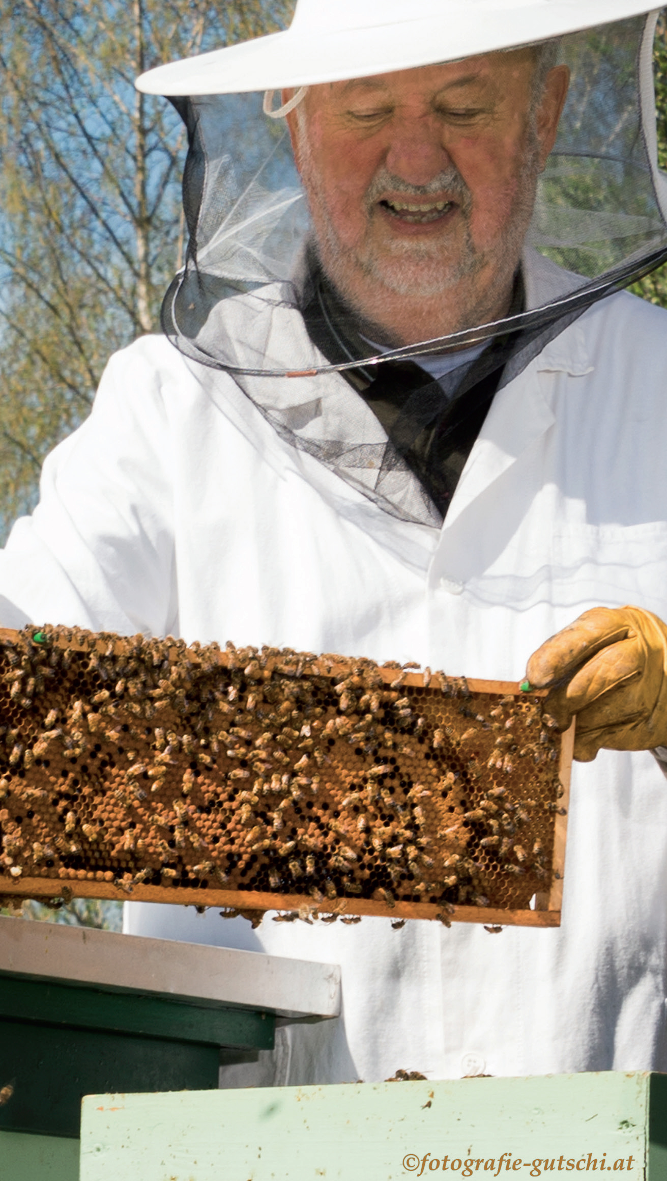 Fritz Richter - Imker