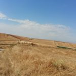 Santiago-de-Compostela-Wallfahrt_12