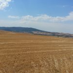 Santiago-de-Compostela-Wallfahrt_13