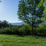 Taizé-Am-Silence-Areal_Morgen_1