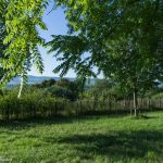 Taizé-Am-Silence-Areal_Morgen_2