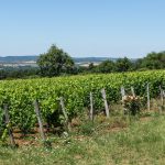 Taizé-Zwischen-Taizé-und-dem-Nachbarort-Ameugny_3